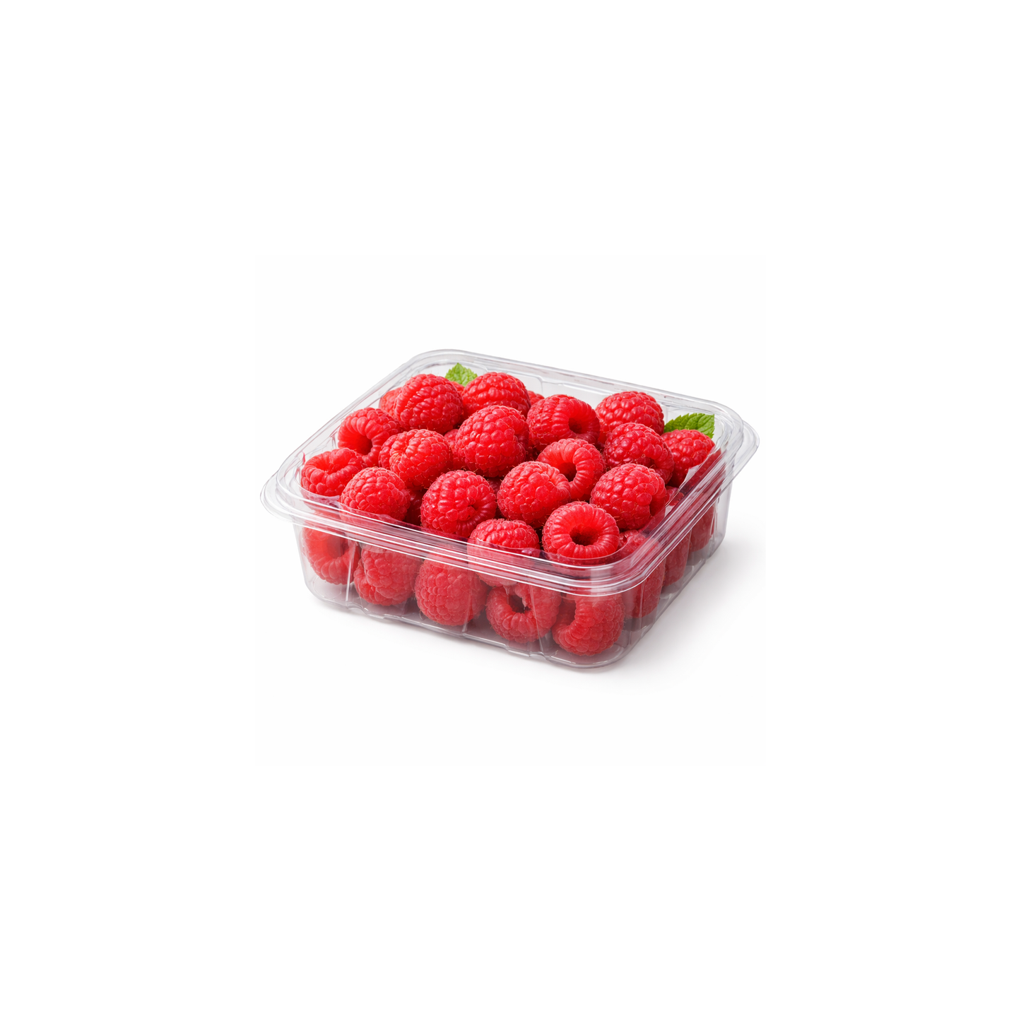 Raspberries - Pack